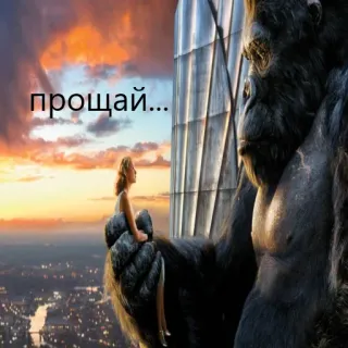 🦍 King Kong прощай... горилла, прощание, город, женщина, небоскреб whatsapp sticker