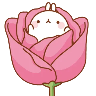 🌷 Molang molang, rabbit, kawaii, cute, flower, pink telegram sticker