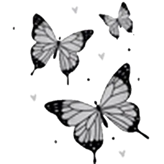 🦋