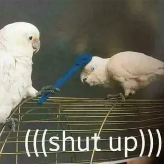 🤫 (((shut up))) นก, กระตั้ว, หุบปาก, ตลก, มีม telegram sticker