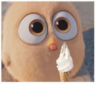 🍦 vogel, ijs, schattig, cartoon whatsapp sticker