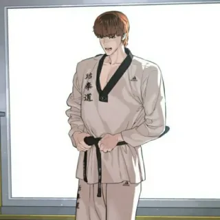 🧃 坊拳道 martial arts, taekwondo, uniform, Korean martial arts telegram sticker