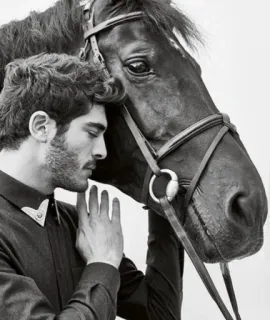 🐎 man, horse, animal, portrait, black and white, equine telegram sticker