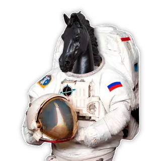 👩‍🚀 astronaut, space, horse, rocket, helmet, suit, animal, space travel telegram sticker