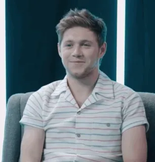 🎸 Niall Horan cantor, Niall Horan, músico, celebridade telegram sticker