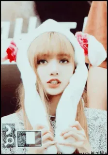 🐠 Lisa kpop, lisa, blackpink, cantora, coelho, idol, fã whatsapp sticker