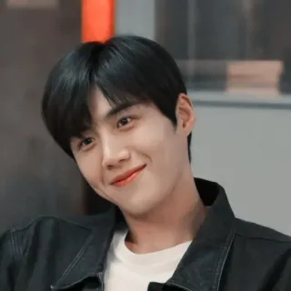 😊 coréen, acteur, homme, sourire, beau telegram sticker