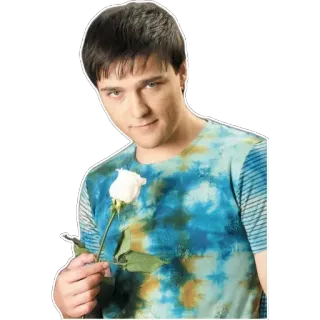 🙂 người đàn ông, hoa hồng, hoa, tie-dye, chân dung telegram sticker