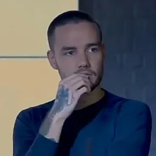 ✨ Liam Payne Liam Payne, celebrity, singer, musician, One Direction telegram sticker