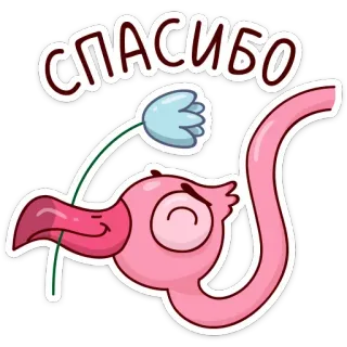 🌷 СПАСИБО 谢谢, 火烈鸟, 花, 可爱, 卡通, 俄语, 感谢 telegram sticker