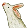 🐰