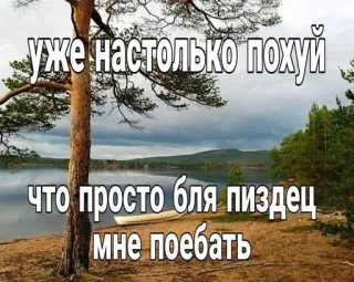 🌟 уже настолько похуй что просто бля пиздец мне поебать 러시아어, 불쾌한, 텍스트, 속어, 욕설 whatsapp sticker