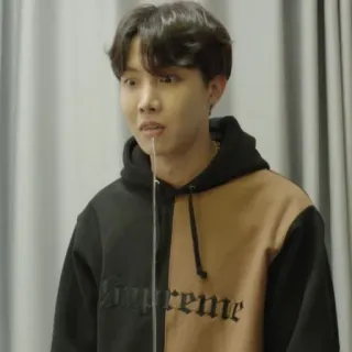 🦚 supreme person, man, hoodie, kpop, fashion, casual telegram sticker