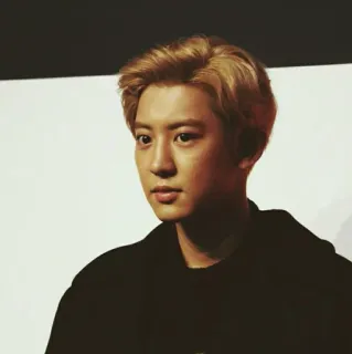 ☁️ Park Chanyeol kpop, exo, cantante, idol, attore, chanyeol telegram sticker