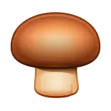 🍄🟫