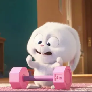💪 Snowball The Secret Life of Pets coelho, animal, exercício, halteres, desenho animado, coelhinho whatsapp sticker
