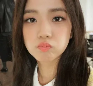 😗 Jisoo kpop, penyanyi, wanita, potret, idola, jisoo, blackpink telegram sticker