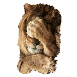 🤭 лев, животное, фейспалм, дикая природа, мем, выражение telegram sticker