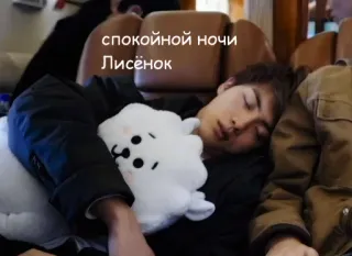 😴 спокойной ночи
Лисёнок sleeping, night, good night, fox, doll, pillow, russian telegram sticker