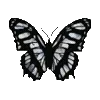 ☆ @emoji1 ★ telegram emojis 🦋