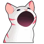 Popping Cat 😼 @TgSticker telegram stickers