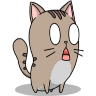 😱 gatto, animale, scioccato, carino, cartone animato, adesivo whatsapp sticker