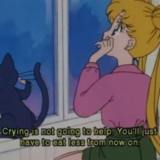 😥 Sailor Moon Crying is not going to help. You'll just
have to eat less from now on. Anime, Kucing, Menangis, Bulan, Pelaut, Diet, Emosional, Jendela whatsapp sticker