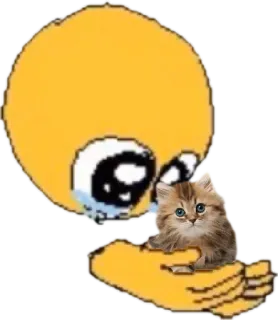 🐈 Emoji, Chorando, Gato, Gatinho, Animal de estimação, Bonito, Triste whatsapp sticker