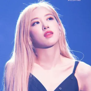 🌹 Rose Rose, Blackpink, K-pop, cantante, músico, celebridad telegram sticker
