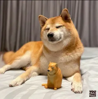 ❤️ doge, shiba inu, meme, dog, youtooz telegram sticker