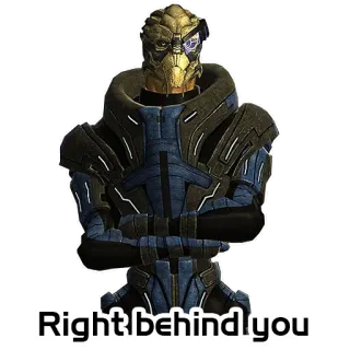 🤝 Garrus Vakarian Mass Effect Right behind you garrus, mass effect, turian, video game, karakter telegram sticker