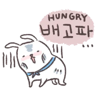 🐰 HUNGRY
배고파 lapar, kelinci, lucu, makanan, hewan, kartun telegram sticker