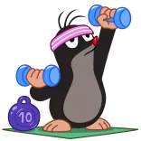 💪 mole, exercise, fitness, workout, dumbbells, cartoon whatsapp sticker
