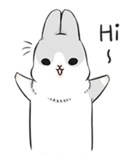 😊 conejo, animal, lindo, dibujos animados, caricatura telegram sticker