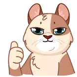 Memes With Cats @TgEmodziBot telegram emojis 👍