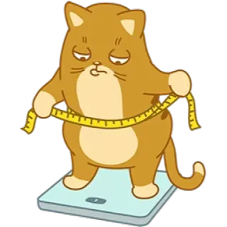 Swift Teodor Cat @softwareports telegram stickers