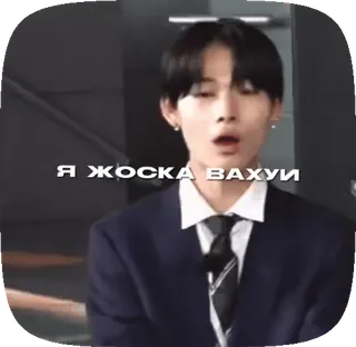 😧 Я ЖОСКА ВАХУИ whatsapp sticker