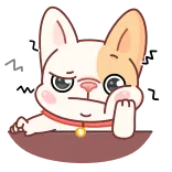 🙄 gato, lindo, sticker, molesto, dormilón, dibujo animado whatsapp sticker