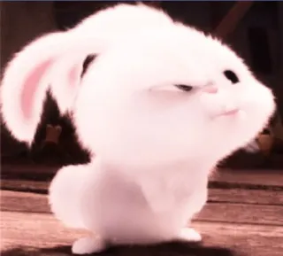 🐰 Snowball The Secret Life of Pets coelho, coelhinho, fofo, animal, desenho animado whatsapp sticker