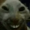 😄