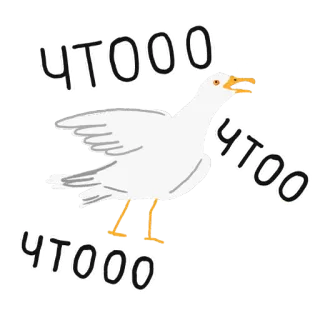 😲 ЧТООО angsa, burung, lucu, pertanyaan, kebingungan telegram sticker