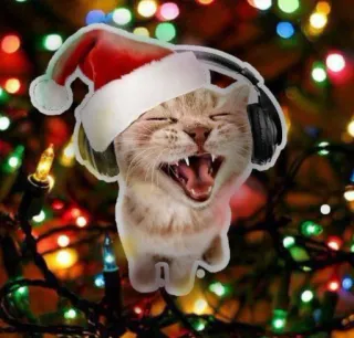 🤩 cat, christmas, santa hat, headphones, animal, festive, holiday, kitten telegram sticker