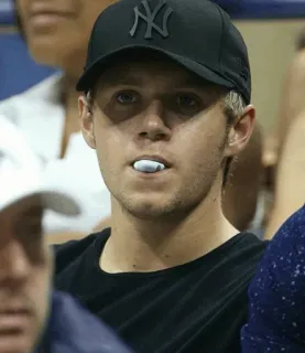 🥀 Niall Horan Niall Horan, celebrity, musician, One Direction, singer, pop star, New York Yankees, baseball cap telegram sticker