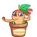 💪 Mandrake MANDRAKE cây, hoạt hình, chậu hoa, nhân vật, hoạt họa telegram sticker