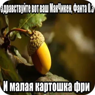 🖼 Здравствуйте вот ваш МакЧикен, Фанта 0.3 И малая картошка фри whatsapp sticker