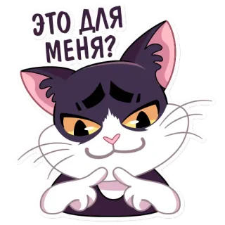 🥺 ЭТО ДЛЯ МЕНЯ?? кот, милый, вопрос, аниме telegram sticker