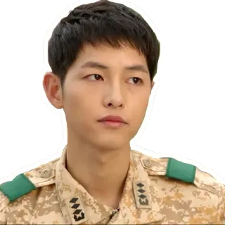 😒 military, uniform, army, soldier telegram sticker
