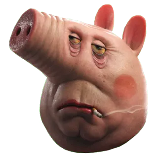 oh...great! whatsapp stickers
