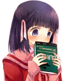 😳 .NET FRAMEWORK 2.0 Anime, Ragazza, Libro, Programmazione, .NET Framework, CLR whatsapp sticker