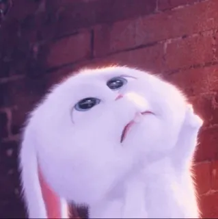 ☁️ Snowball The Secret Life of Pets bunny, rabbit, white, cute, animated telegram sticker